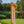 Orange Loops Belt